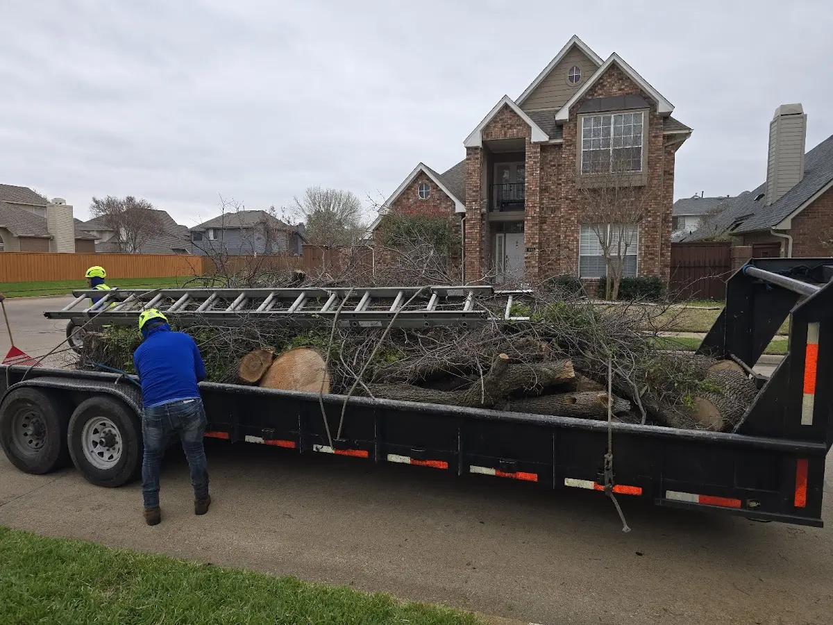 Expert Tree Fertilization with proper safety equipment in Williamsburg